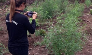 Estudos sobre criminalística no Amazonas são apresentados em Congresso Nacional