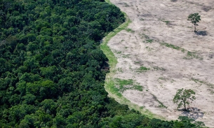 Juiz federal suspende qualquer decreto sobre extinção da Renca na Amazônia