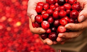 Suco de fruta pode ser aliado no combate a infecção urinária 