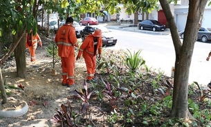 Jardins tomam lugar de lixeiras viciadas 