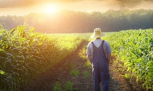 TCU revoga medida cautelar que paralisava reforma agrária no país