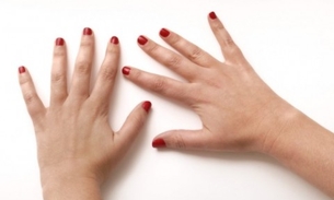 Conheça planta que pode tratar Inflamações no intestino, artrite e fibrose   