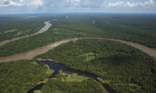 Artur Bernardes, a luta contra os EUA e a internacionalização da Amazônia