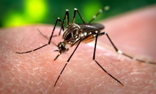 Ministério da Saúde repassa R$ 30,4 milhões para combate ao Aedes aegypti