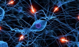 Aminoácido presente em alimentos é bom para saúde do sistema nervoso 