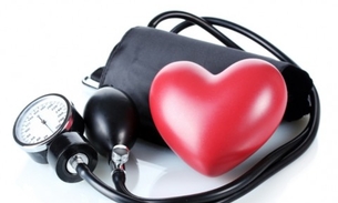 Espécie de alfazema trata hipertensão, colesterol e crises nervosas 