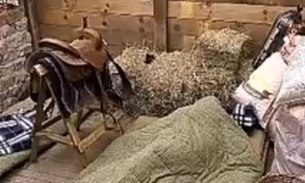 A Fazenda: Marcos Harter e Ana Paula Minerato movimentam o edredom