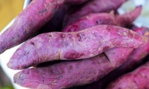 Espécie de batata controla glicemia. Conheça 