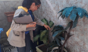 Mais de 27 mil casas serão vistoriadas durante ação de combate ao Aedes aegypti em Manaus