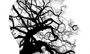 Conheça tipo de dieta que ajuda a preservar saúde do cérebro 