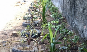 Lixeiras viciadas dão lugar a jardins em Manaus 