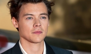 Fã agarra pênis de Harry Styles durante show e causa revolta na internet  