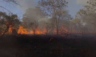 Incêndio na Chapada dos Veadeiros já atingiu 35 mil hectares