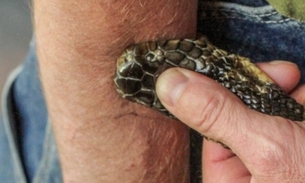 Homem injeta veneno de cobra no próprio corpo e faz descoberta inédita