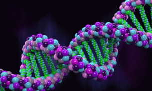 Cientistas identificam dois genes relacionados à homossexualidade