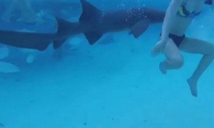 Homem filma esposa sendo atacada por tubarão durante lua de mel