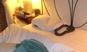 Mulher acorda e dá de cara com cobra gigante em seu travesseiro
