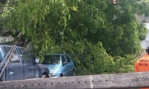 Árvore e poste caem sobre carros e  interditam rua em Manaus