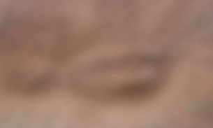 Corpo de mulher desaparecida é encontrado enterrado após ex confessar crime