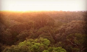  Páscoa pode ser celebrada com pôr do sol na torre de observação do Museu da Amazônia