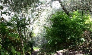 Jovens desaparecem em matagal após saírem para caçar no Amazonas