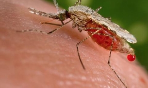 Governo consegue aumento de até 50% em verbas para combate à malária no Amazonas