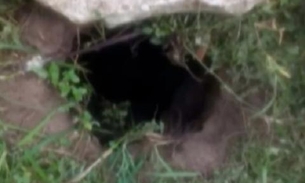 Presos cavam túnel até muro de presídio e mais de 40 fogem no Pará