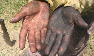 Auditores resgatam 19 trabalhadores em situação degradante em fazenda