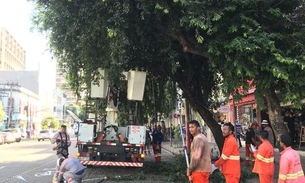 Avenida Eduardo Ribeiro passa por manejo de arborização urbana