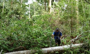 Mulher de 87 anos e criança entram em mata e desaparecem no Amazonas