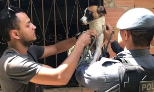 Cachorros sobrevivem a maus-tratos e são resgatados entre 'carcaças' em Manaus