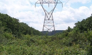 MPF recomenda abstenção à Funai e Ibama de fracionar licenciamento do linhão de Tucuruí
