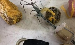 Detentos são flagrados 'pescando' pacotes com drogas e celulares em presídio