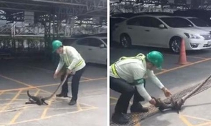 Homens encaram píton para salvar gato de ser devorado; Veja