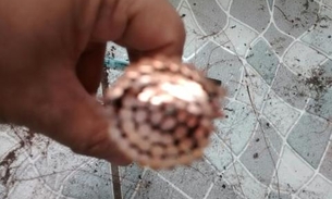 Casal morre eletrocutado ao tentar furtar fiação elétrica de 'linhão'