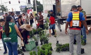 Pedágio ambiental distribui mudas frutíferas, ornamentais e medicinais em bairro de Manaus