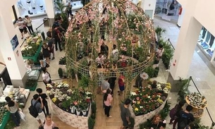 Festival de Flores de Holambra no Amazonas Shopping encerra neste sábado