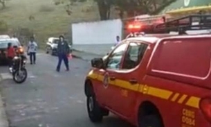 Em missa, abelhas atacam fiéis e deixam mais de 58 feridos