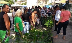 Pedágio Ambiental distribui mudas em bairro de Manaus nesta quarta-feira