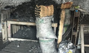 Em Manaus, mais de 2 toneladas de carvão são apreendidas em depósito irregular