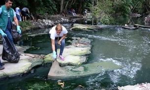 Quase 4 toneladas de resíduos são retirados das margens do igarapé no Parque do Mindu