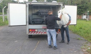 Discussão entre tio e sobrinho por motivo banal termina em morte  no Amazonas