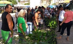 Distribuição gratuita de mudas frutíferas, ornamentais e medicinais acontece nesta quarta