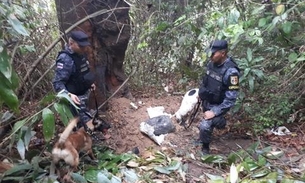 Decapitado, cadáver é encontrado em área de mata em Manaus