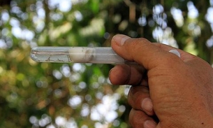 11 bairros deixam zona de alto risco para infestação do Aedes aegypti em Manaus