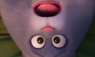 Pets: A Vida Secreta dos Bichos 2 ganha novo trailer fofo. Assista