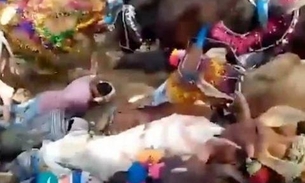 Vídeo chocante mostra fiéis sendo pisoteados por vacas para terem 'sorte'