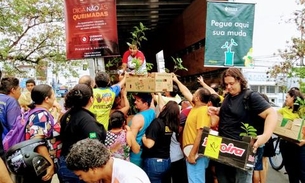 Em menos de quatro meses, 8 mil mudas foram distribuídas em Manaus