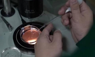 Pesquisador diz ter criado os primeiros seres humanos geneticamente editados