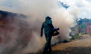 Dia D contra o Aedes aegypti acontece nesta sexta com ações no Amazonas